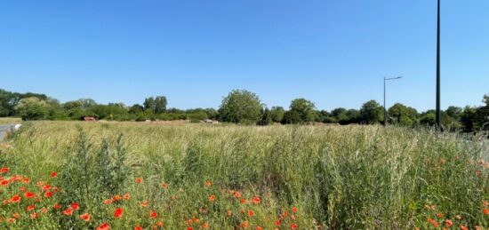 Terrain à bâtir à Niherne, Centre-Val de Loire